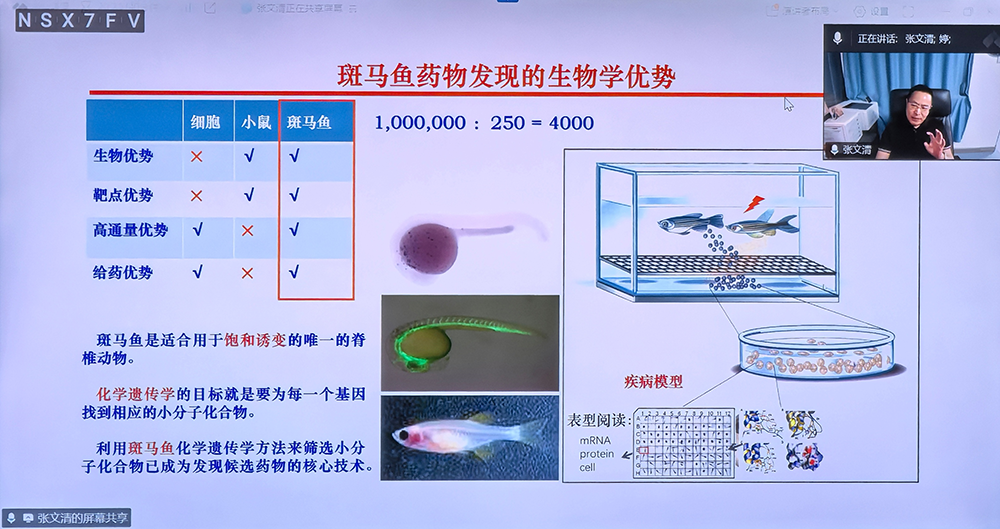 2025年第六期前沿探索学术交流会—聚焦斑马鱼模型与临床疾病建模(图1)