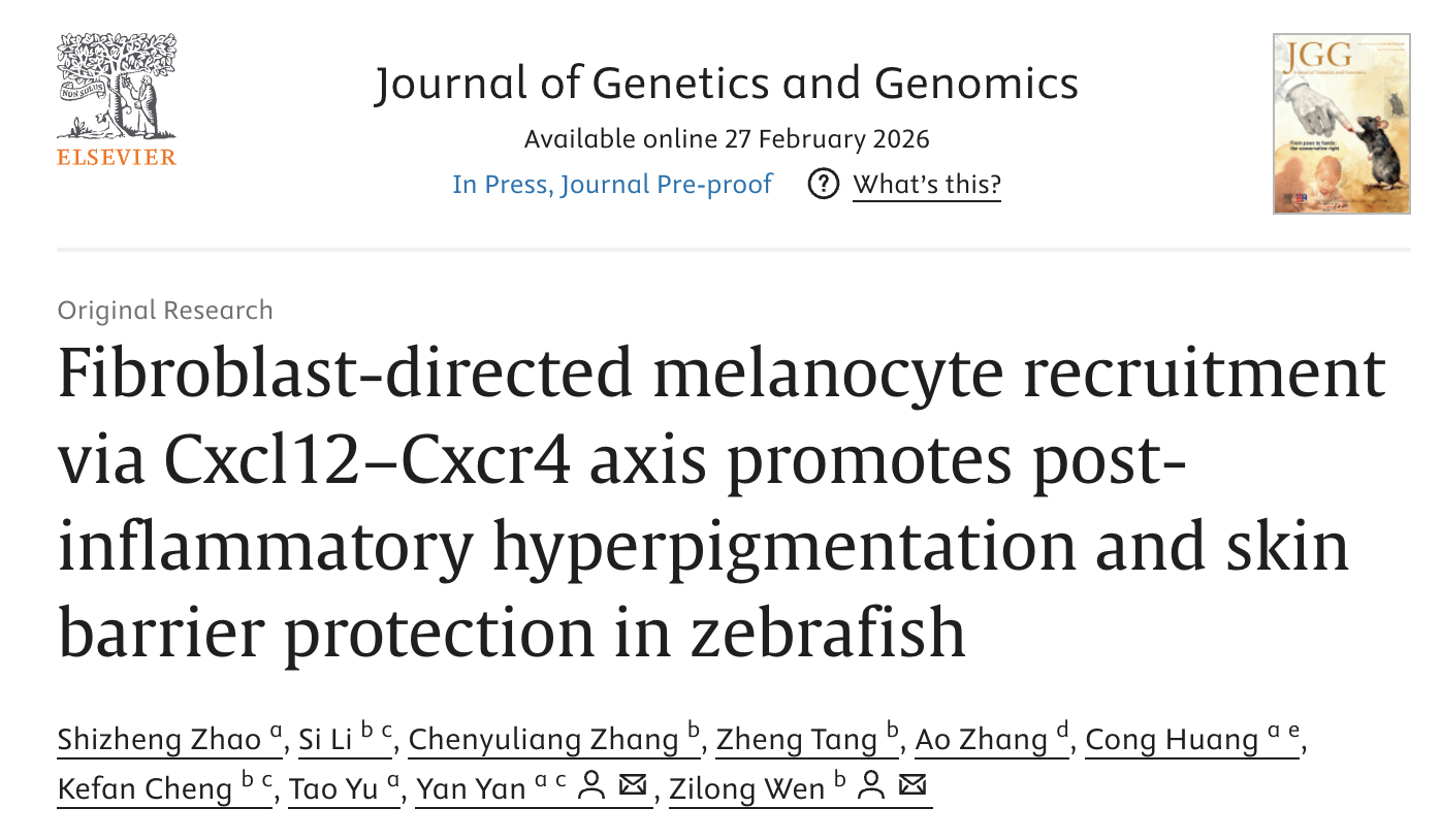 医学中心生物医学研究所阎言课题组合作揭示成纤维细胞调控炎症后色素沉着新机制(图1) 医学中心生物医学研究所阎言课题组合作揭示成纤维细胞调控炎症后色素沉着新机制(图1)